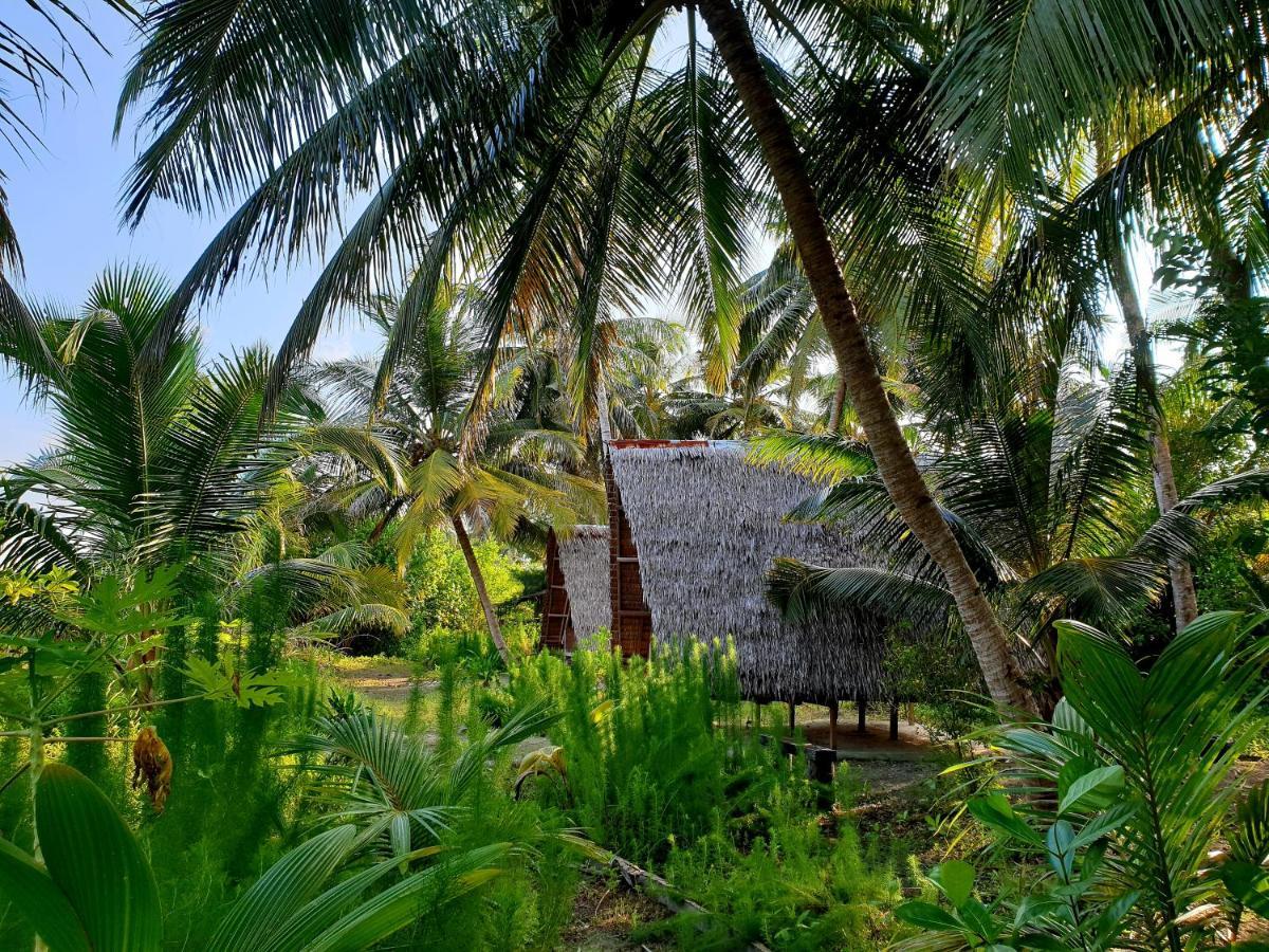 Tailana Island Pulau Banyak Hotell Alaban Eksteriør bilde